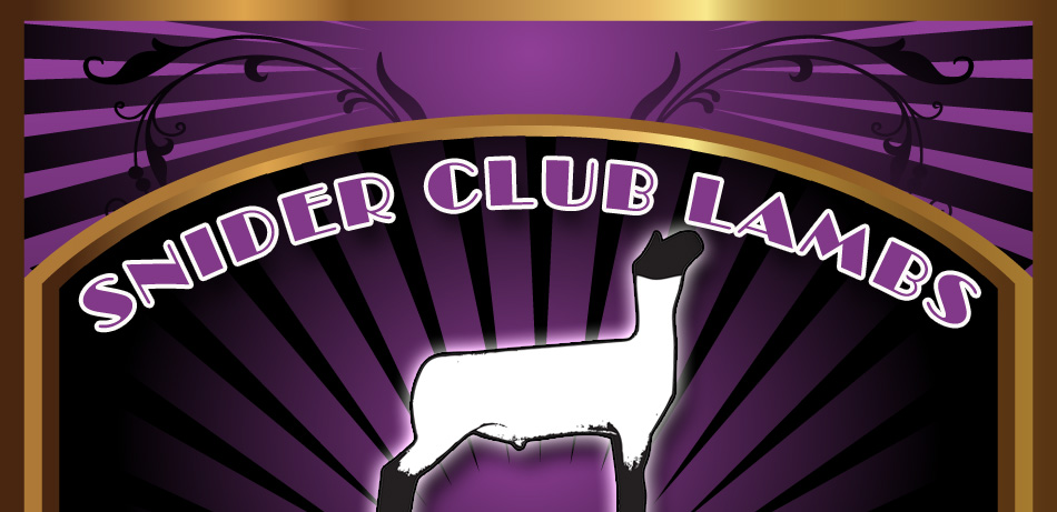 Snider Club Lambs