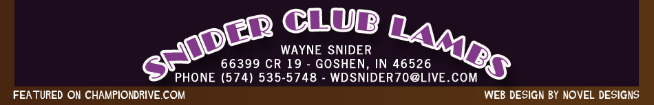 Snider Club Lambs